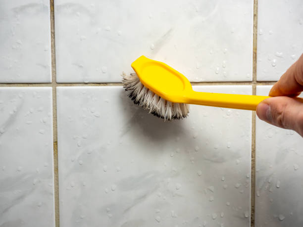 Best Mold Remediation for Schools in Glencoe, MN