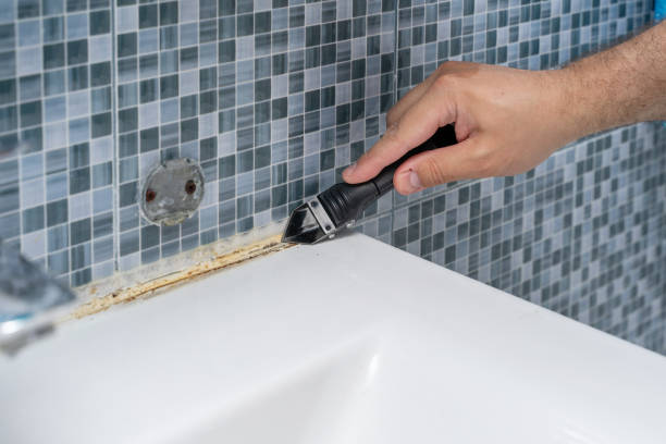 Best DIY Mold Remediation Support Services in Glencoe, MN